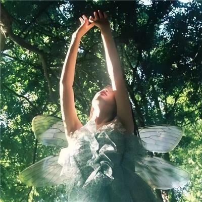 夫人她又轰动全城了